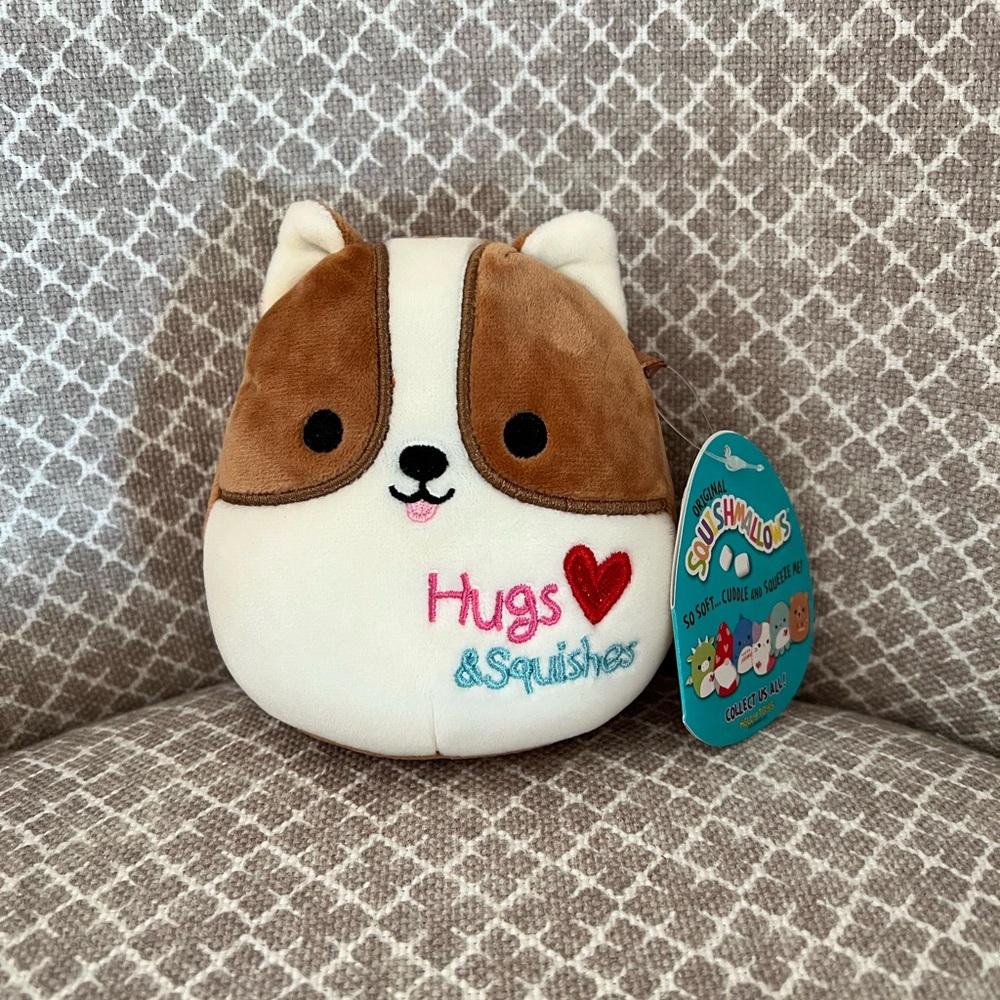 5” Reginald The Corgi Valentine’s Edition Squishmallow